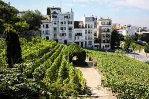 montmartre